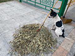 -正谊书院