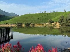 -帐篷客·溪龙茶谷度假酒店