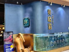 -黄晓猫剁椒大鱼头(海岸城店)