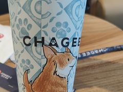 -霸王茶姬(云杉奥莱店)