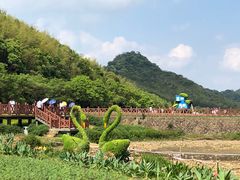 -广州市石门国家森林公园