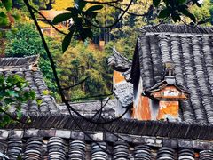 -杨家堂村
