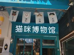 -猫咪博物馆(顶澳仔猫街店)