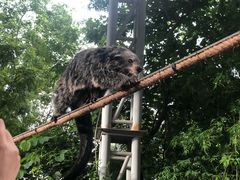 -清迈夜间动物园