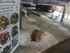-拉威海鲜市场