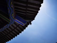 -铁山坪森林公园