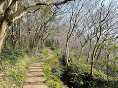 -青龙山公园