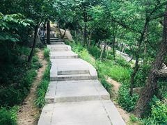 -崂山巨峰游览区