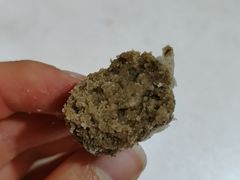-酥满溢绿豆饼(共和新路店)