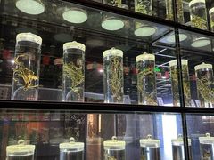 -广东中医药博物馆