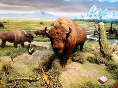 -陕西自然博物馆