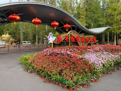 -东平国家森林公园