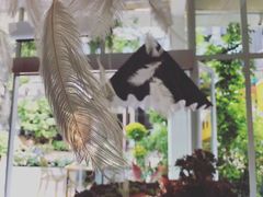 -春树下·树屋花房西餐厅(罍街AS1980店)