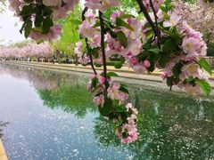 -海棠花溪(元大都城垣遗址公园)