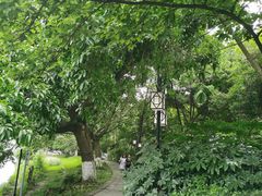 -成都市活水公园
