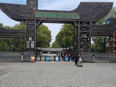 -溱湖国家湿地公园