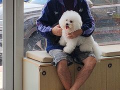 -芭比堂动物医院·CT·微创中心(新顺分院)