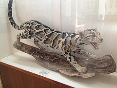 -下渚湖国家湿地公园科普馆