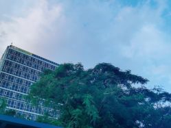 -深圳市妇幼保健院(红荔院区)