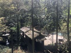 -宁海森林温泉