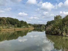 -白鹭湾湿地公园