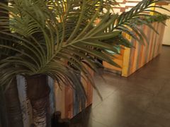 -原味四季椰子鸡(公明百佳华店)