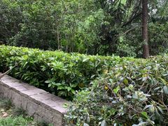 -北极阁公园