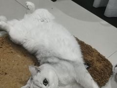 -王大乔泡椒米线·小火锅(星城天地店)
