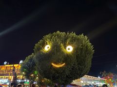 -特克斯八卦城
