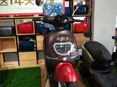 -绿源电动车(胜利路专卖店)