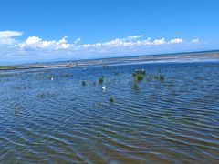 -青海湖仙女湾景区