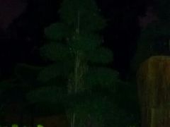 android_upload_pic-迎泽公园