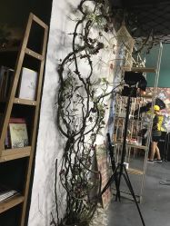 -HG美发设计沙龙