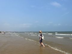 -日照海滨国家森林公园