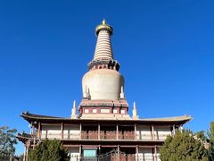 -张掖大佛寺景区