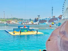 -秦皇岛乐岛海洋王国