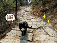 -北京凤凰岭