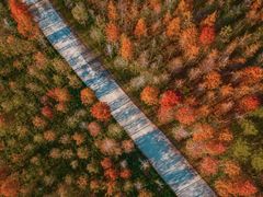 -合肥滨湖国家森林公园