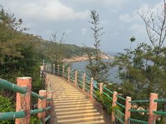 -广东惠东海龟国家级自然保护区