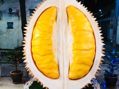 -都念榴莲·城市榴莲