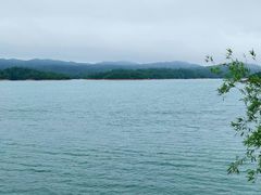 -广州市流溪河国家森林公园
