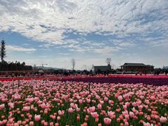 -捞渔河湿地公园
