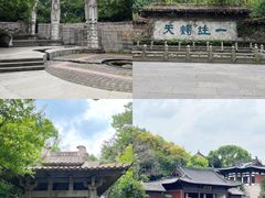 -鲁镇