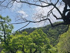 -北京鹫峰国家森林公园