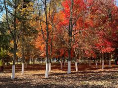 -长春世界雕塑园冰雪艺术天地