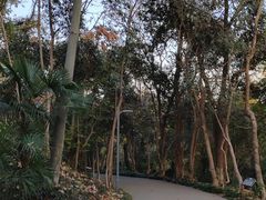 -赭山公园