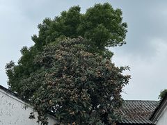 -山塘街