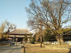 -苏州文庙(姑苏区)