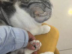 -平行世界·猫咖(首经贸店)