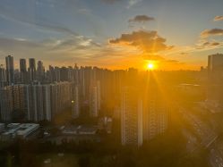 -禧月荟S月子中心(侨城店)